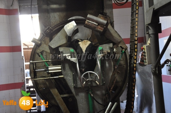 Jam3iya la7m3n (14).JPG